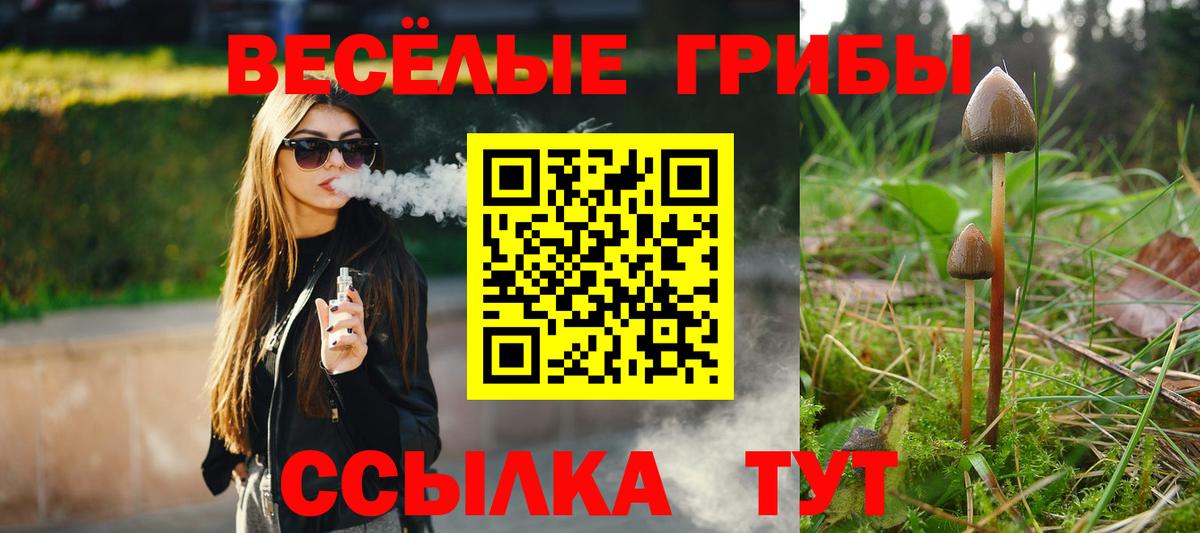 Евпатория  Псилоцибиновые грибы Psilocybine cubensis  Вход с VPN 